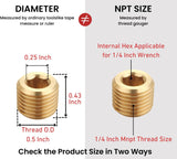 T TANYA HARDWARE Brass Pipe Fitting, Hex Counter Sunk Plug, 1/4 Inch NPT Male Pipe, Thread 0.5" OD, (10 Piece)