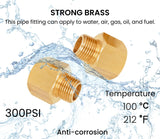 T TANYA HARDWARE 2 Pack Brass Pipe Fittings, 1/2" NPT Female to 3/8" NPT Male Reducer Adapter, Solid Brass Pipe Extension Connectors, Thread 0.75" ID × 0.625" OD, 300 Psi